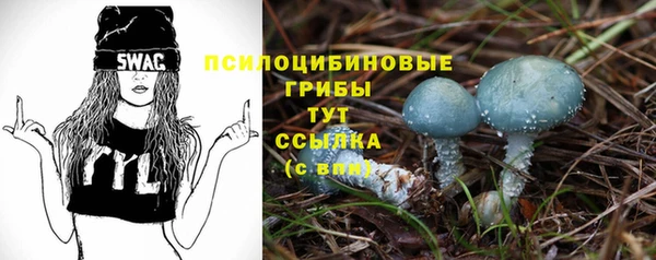 ГАЛЛЮЦИНОГЕННЫЕ ГРИБЫ Липки