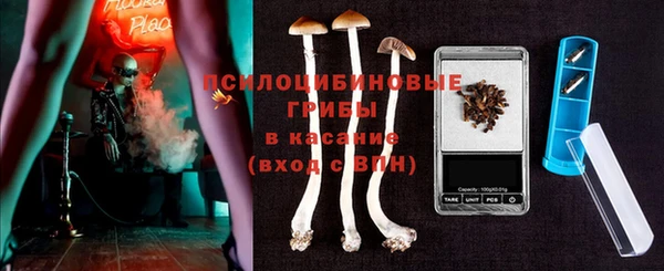 ГАЛЛЮЦИНОГЕННЫЕ ГРИБЫ Липки