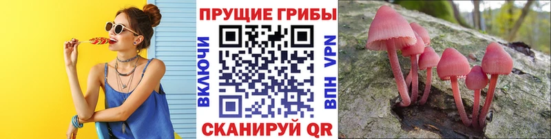Галлюциногенные грибы мицелий  Купить закладки  Бавлы 